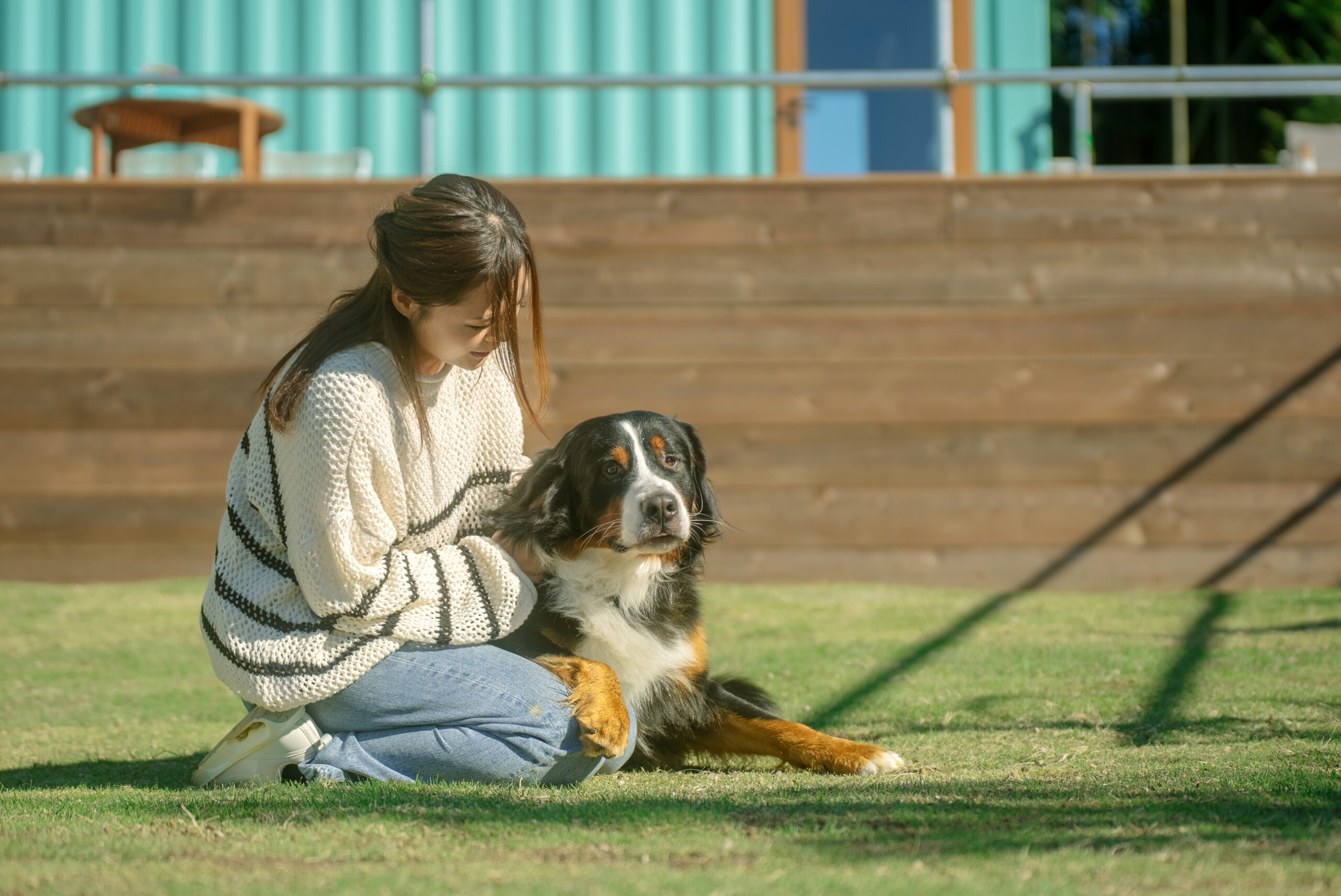記事サムネイル: ドッグランが苦手なワンちゃんへ。THE W Relax Garden Resortの“やさしいドッグラン”🐾