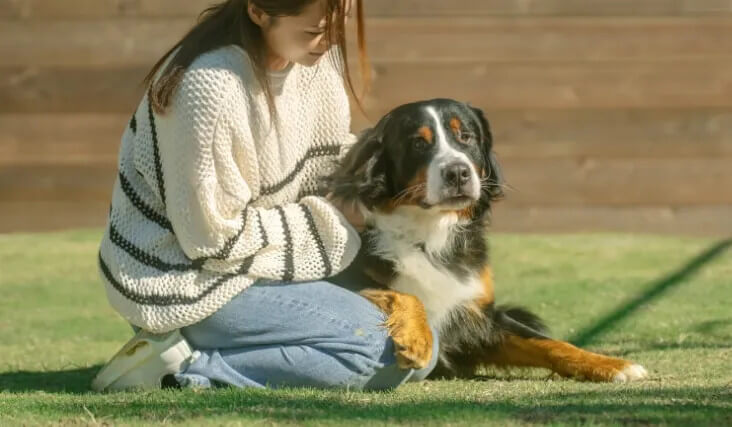 リゾート気分で癒されるグランピングを愛犬と一緒に楽しむポイント