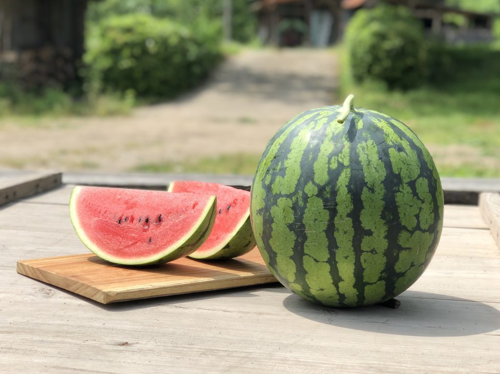 記事サムネイル: 関東・群馬のグランピング施設で子ども食堂×夏イベント！プールと水遊びで子どもたちが笑顔に