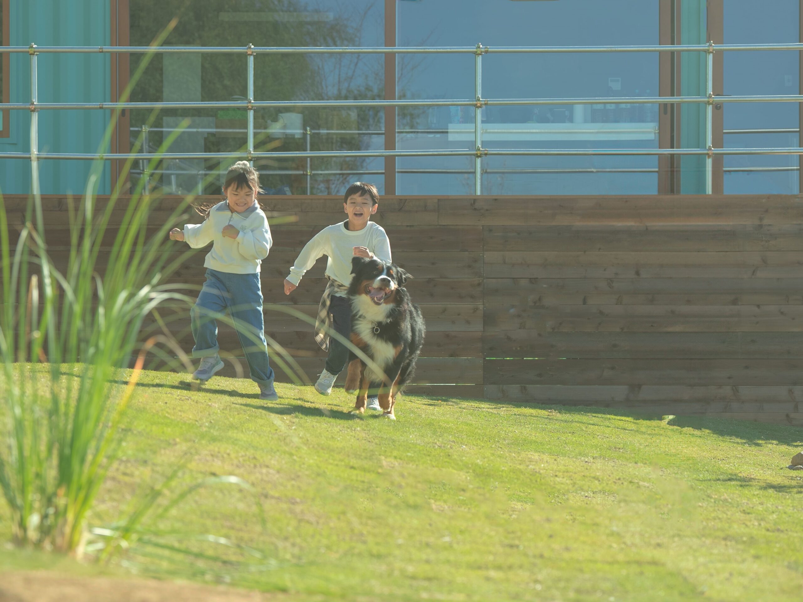 記事サムネイル: 【公式】名門ゴルフクラブと同じ芝生で“爆走”。愛犬が喜びを爆発させる——極上の芝生ドッグラン体験。｜THE W Relax Garden Resort（群馬・前橋）