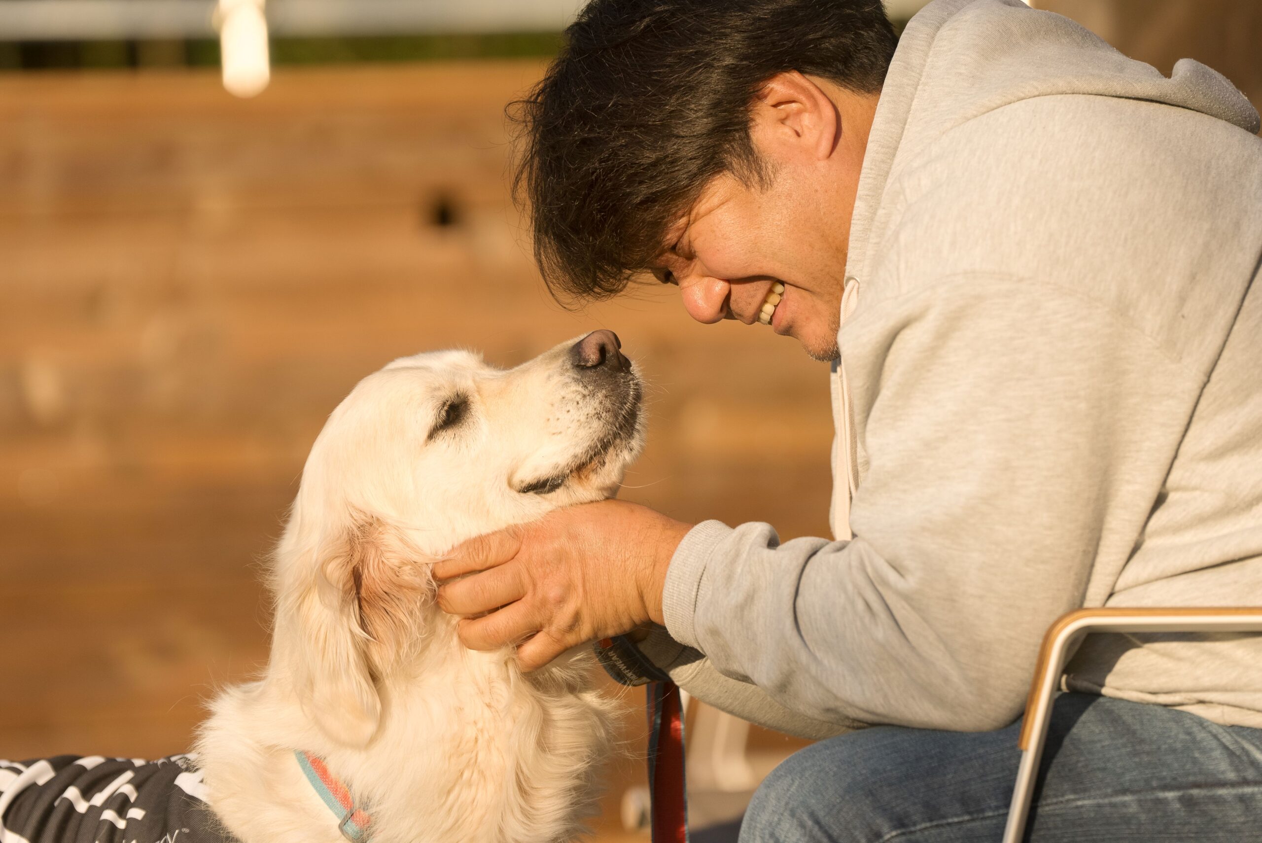 記事サムネイル: 群馬で犬と泊まれるラグジュアリーグランピング｜THE W Relax Garden Resortのドッグラン体験