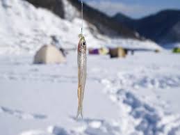 記事サムネイル: 【冬の赤城でワカサギ釣りとグランピング】“1日1組 完全貸切”グランピング施設 THE W Relax Garden Resort（群馬・前橋）