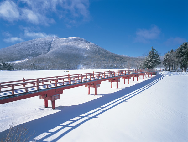記事サムネイル: 「赤城山の雪で遊び、夜はTHE W Relax Garden Resortでととのう冬旅」