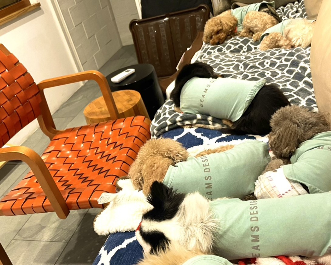 記事サムネイル: 🐾 【GW2026】愛犬と泊まれる関東おすすめ宿7選｜連泊で絆を深めるGW週間 | THE W Relax Garden Resort