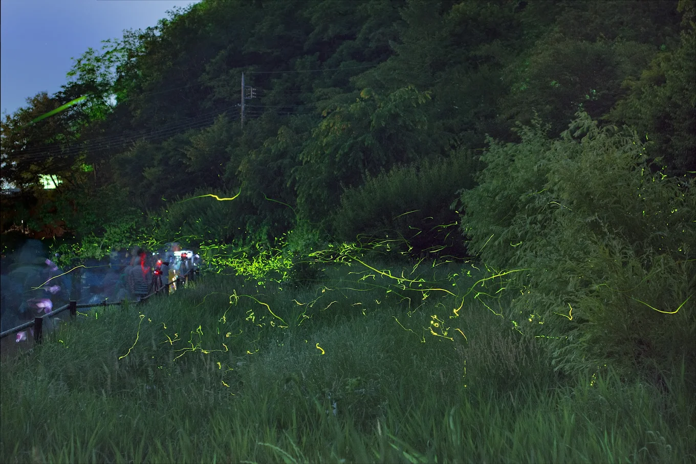 記事サムネイル: 関東随一のホタル観賞スポットで、初夏の幻想的な夜を｜THE W Relax Garden Resort（群馬・前橋）